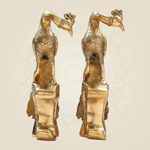Brass Peacock Set
