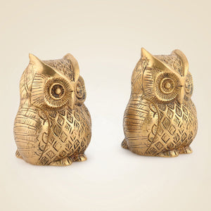 Pure Brass Owl