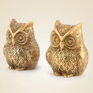 Pure Brass Owl