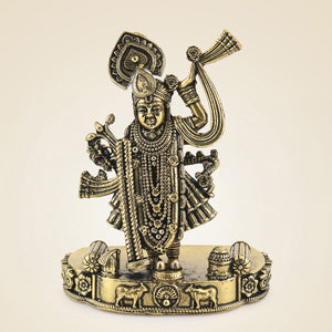 Brass Shreenath