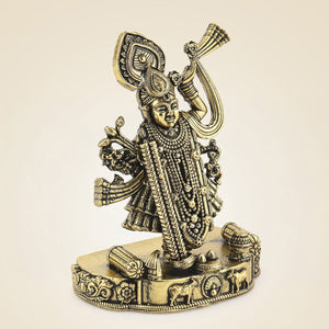 Brass Shreenath