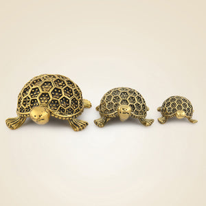 Brass Tortoise