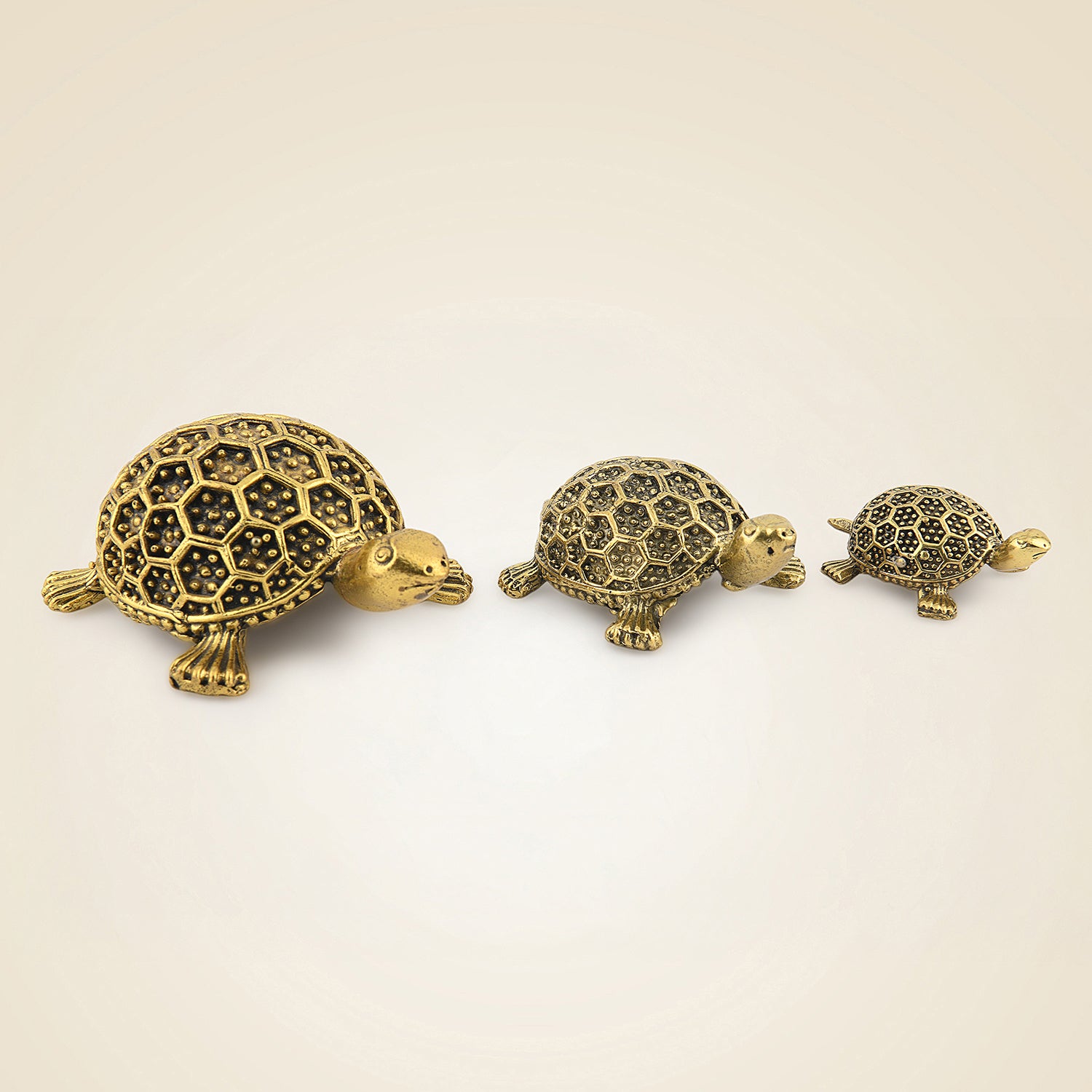 Brass Tortoise
