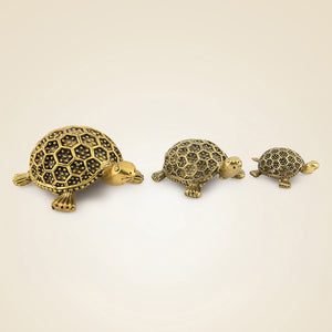 Brass Tortoise