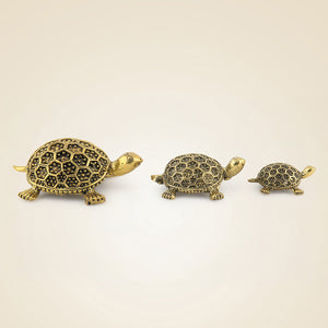 Brass Tortoise