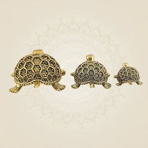 Brass Vastu Tortoise Statue Set of 3