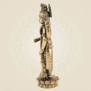 Lord Vishnu Brass Murti