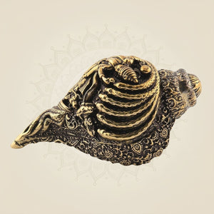Premium Brass Shankh