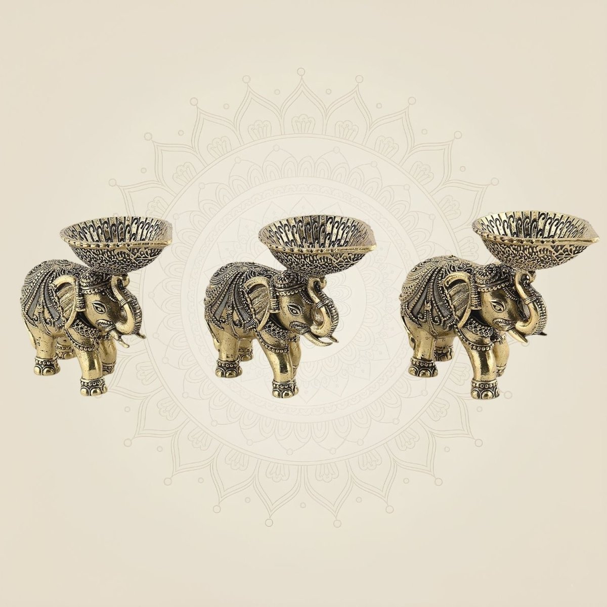 Brass Oil Lamps on Trunk