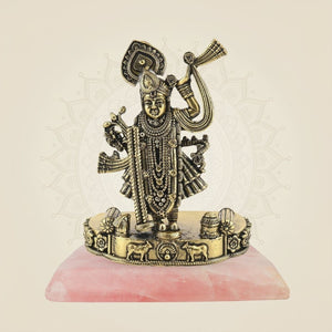 Shreenath Ji with stone base