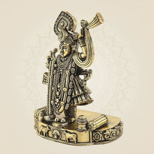 Brass Idol for a Divine Sacred Ambience