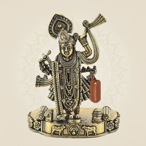 Shreenath Ji Brass Idol