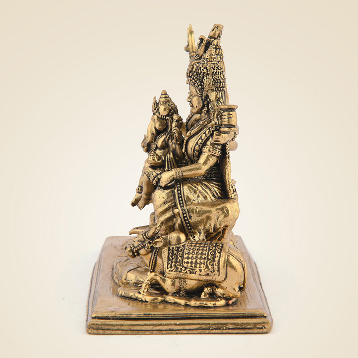 Pure Brass Shiv Parivaar