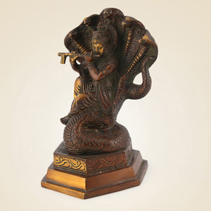 Pure Brass Vishnu