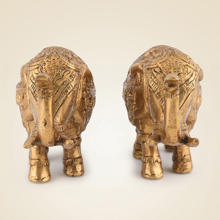 Pure Brass Elephant