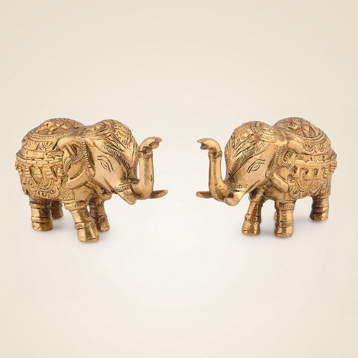Pure Brass Elephant