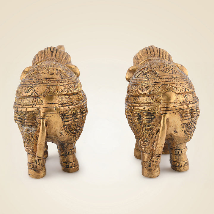 Pure Brass Elephant