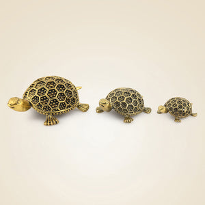 Brass Tortoise