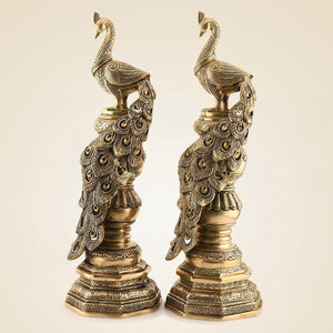 Brass Peacock