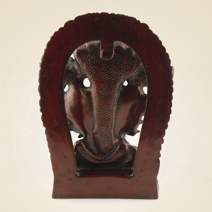 Brass Narayan Ji