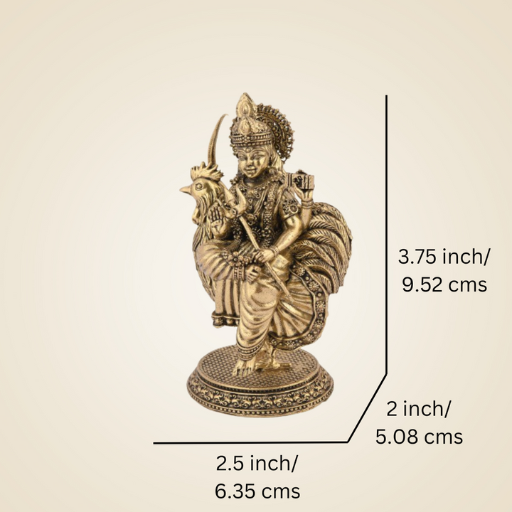 Pure Brass Bahuchar Mata