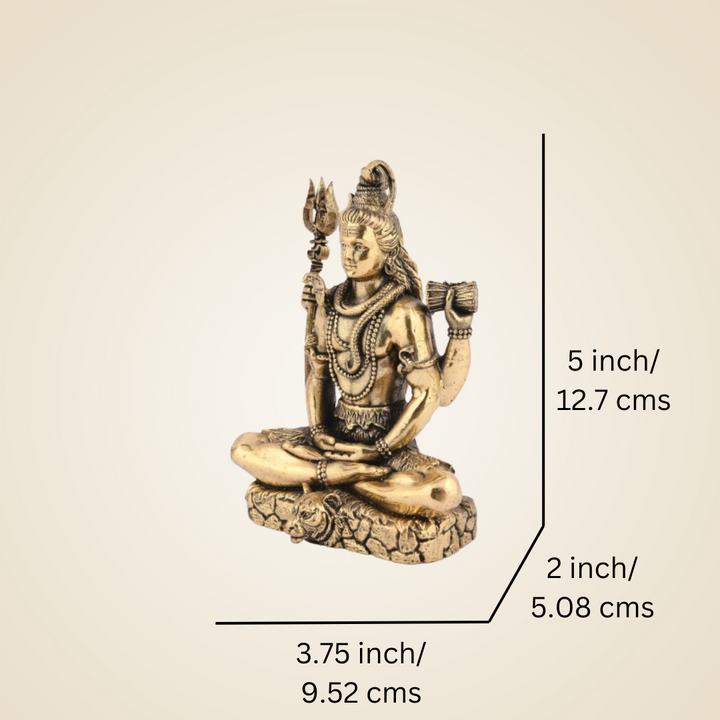 Pure Brass Shiv ji