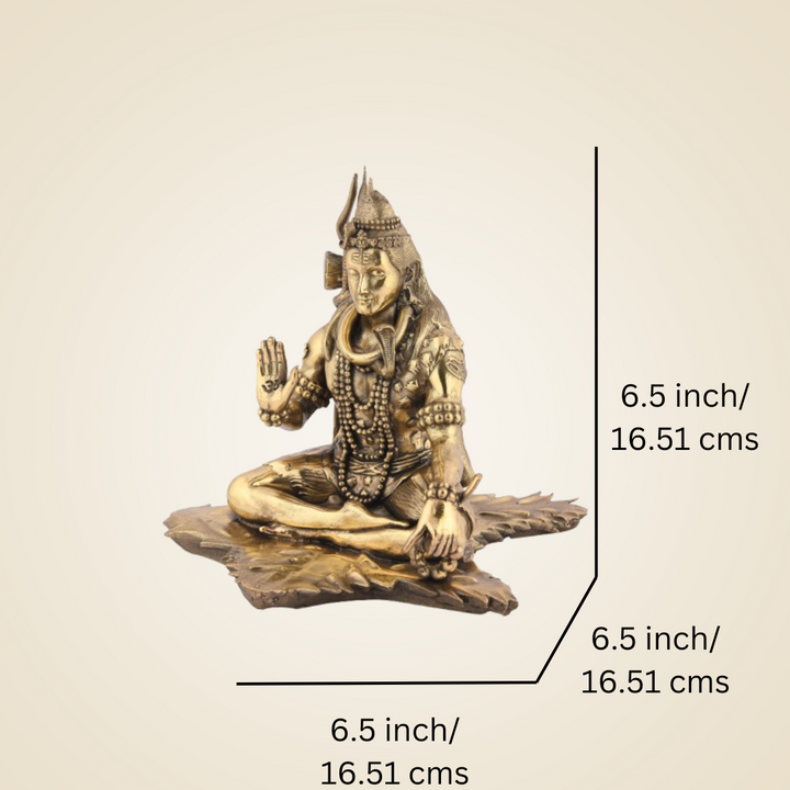 Pure Brass Shiv ji