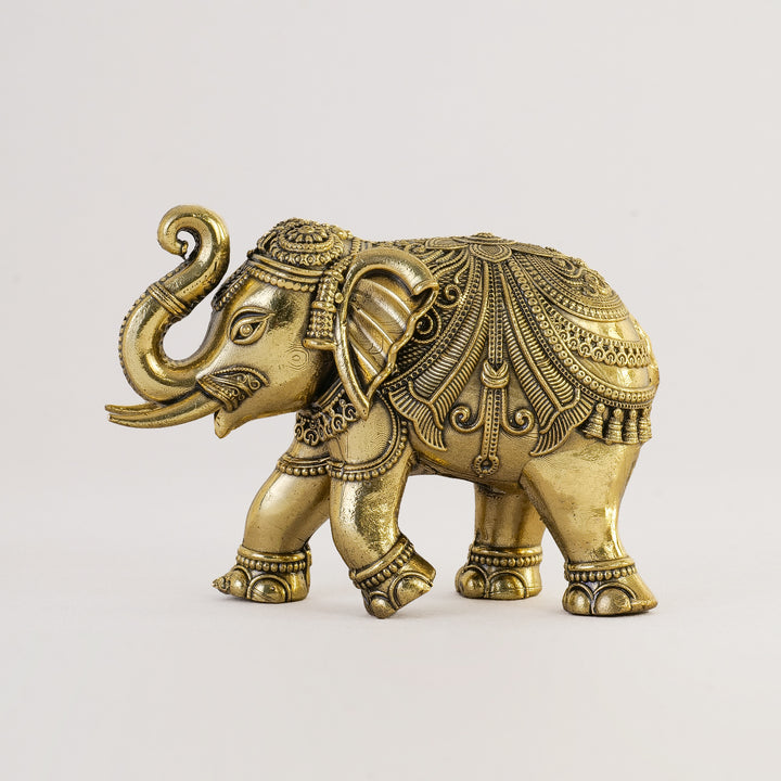 Pure Brass Elephant