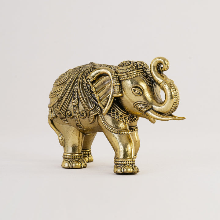 Pure Brass Elephant