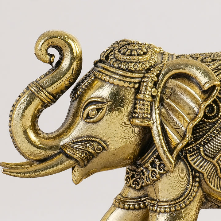 Pure Brass Elephant