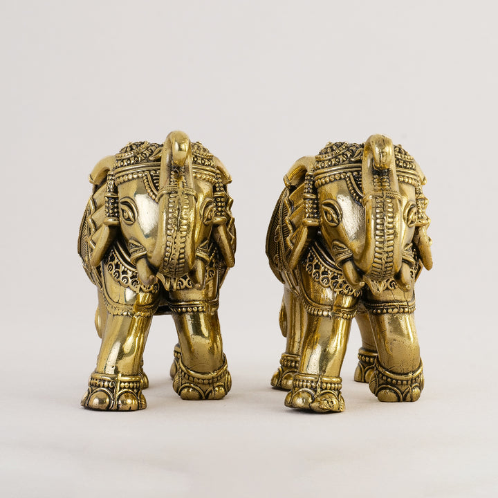 Pure Brass Elephant