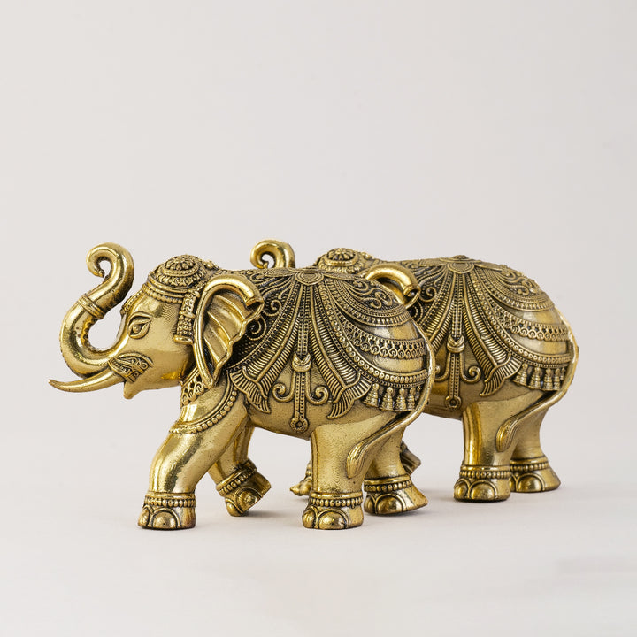 Pure Brass Elephant