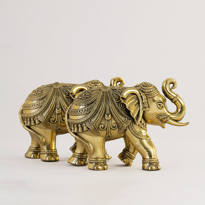 Pure Brass Elephant