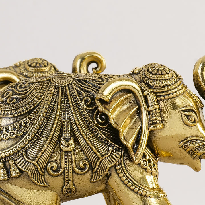 Pure Brass Elephant