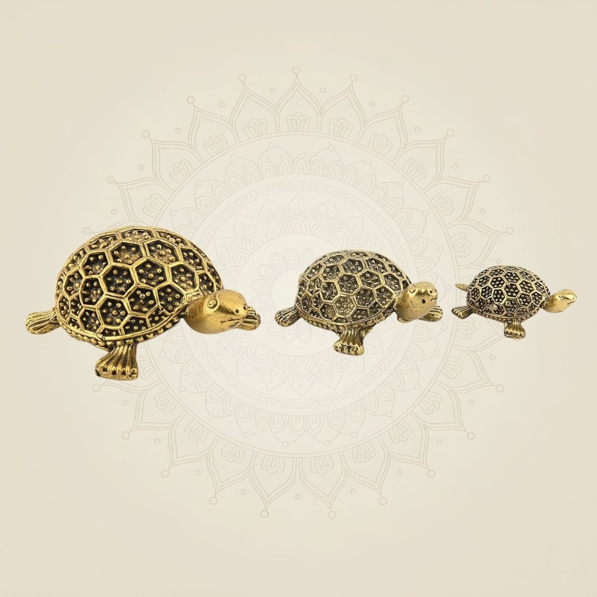 Brass Vastu Tortoise Statue