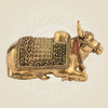 Brass Color