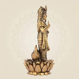 Lightweight Kartikeya Murti