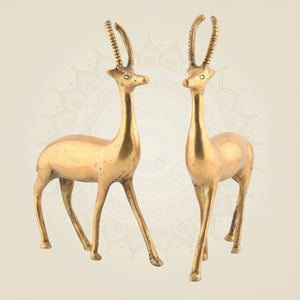 Pure Brass Deer Pair 9"