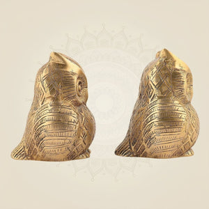 Pure Brass Owl