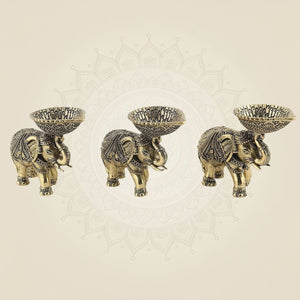 Brass Oil Lamps on Trunk